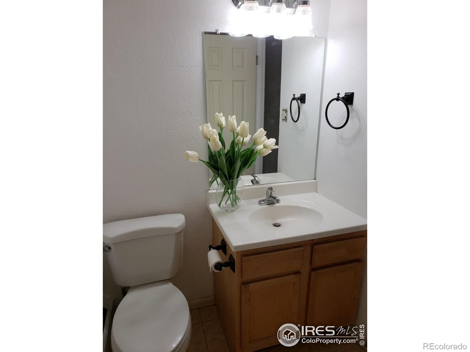 MLS Image #0 for 21 n washington street,denver, Colorado