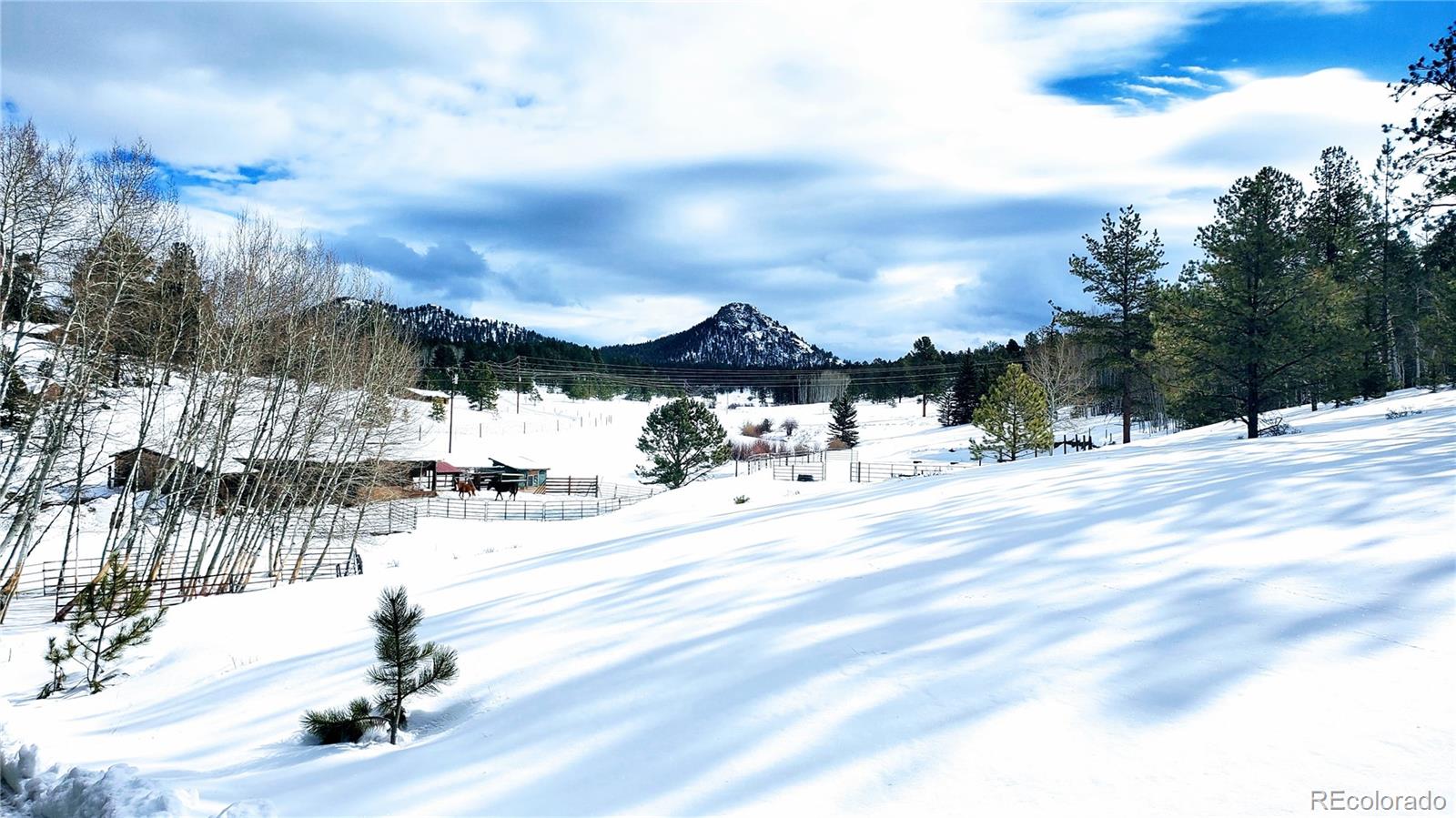 MLS Image #0 for 176  horse creek circle,lake george, Colorado