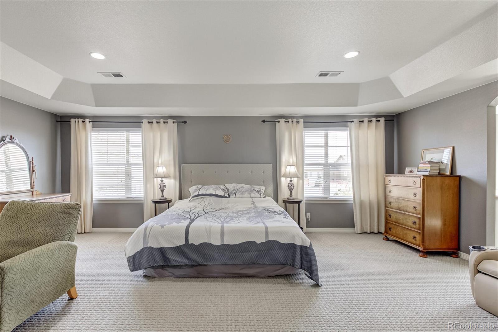 MLS Image #17 for 13036  norway maple street,parker, Colorado