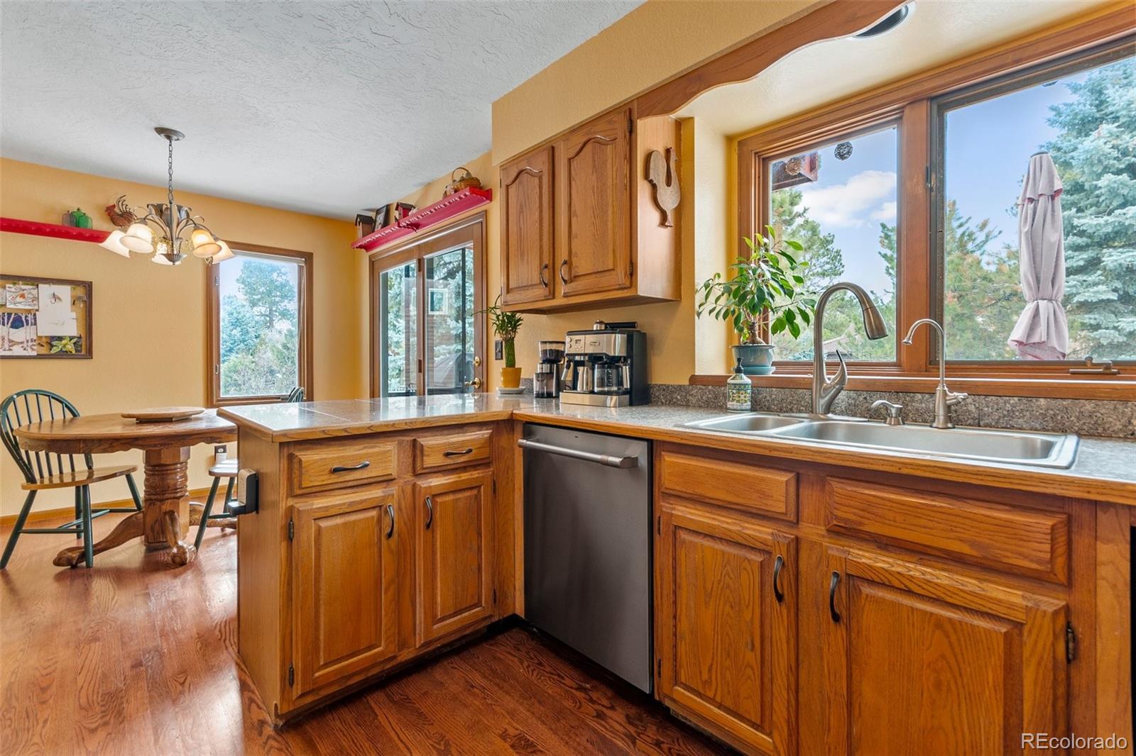MLS Image #14 for 8335  lightening view drive,parker, Colorado