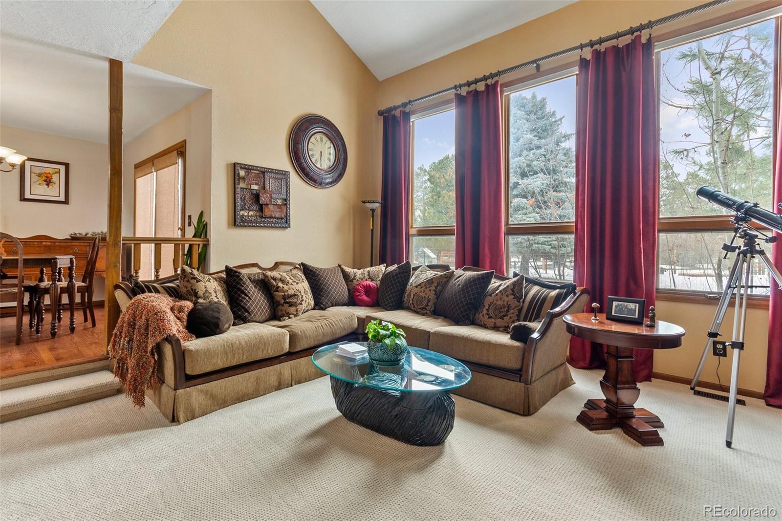 MLS Image #7 for 8335  lightening view drive,parker, Colorado