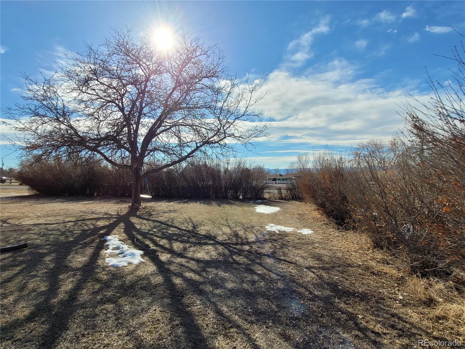 MLS Image #4 for 20204  cactus drive,johnstown, Colorado