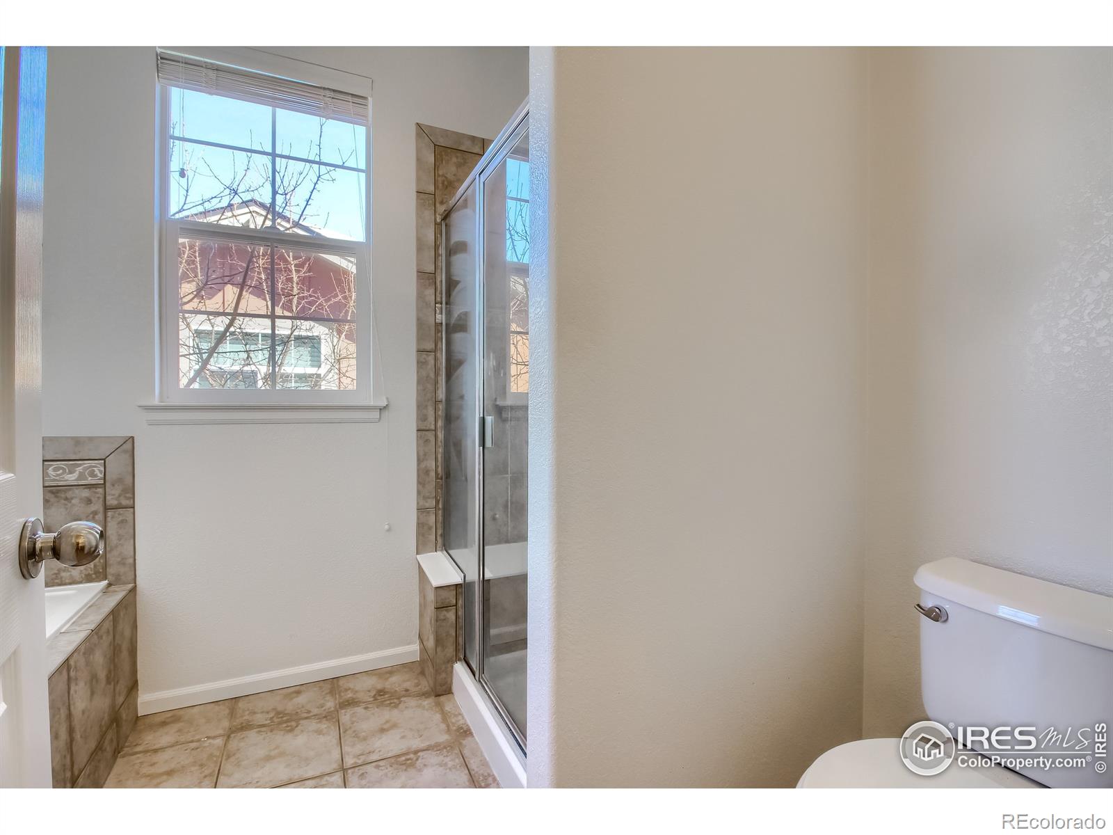 MLS Image #17 for 17930 e 104th place,commerce city, Colorado