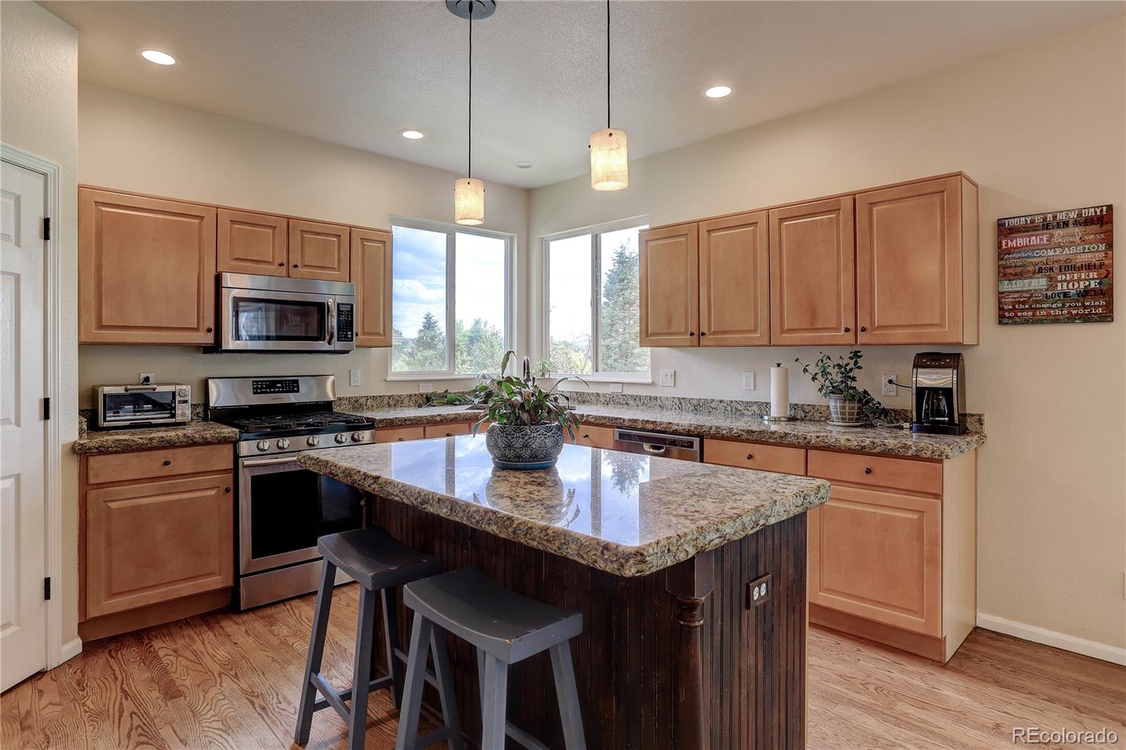 MLS Image #3 for 10029  macalister trail,highlands ranch, Colorado