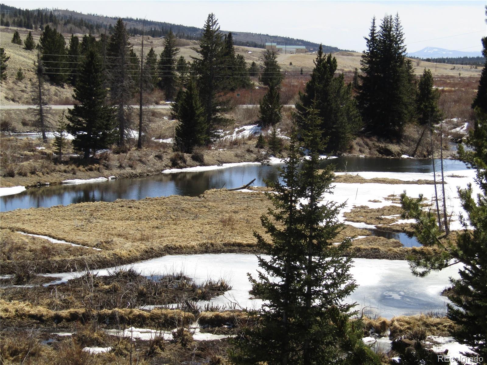 MLS Image #2 for 248  county road 6 ,alma, Colorado