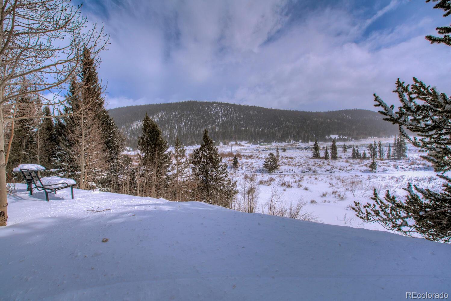 MLS Image #7 for 248  county road 6 ,alma, Colorado