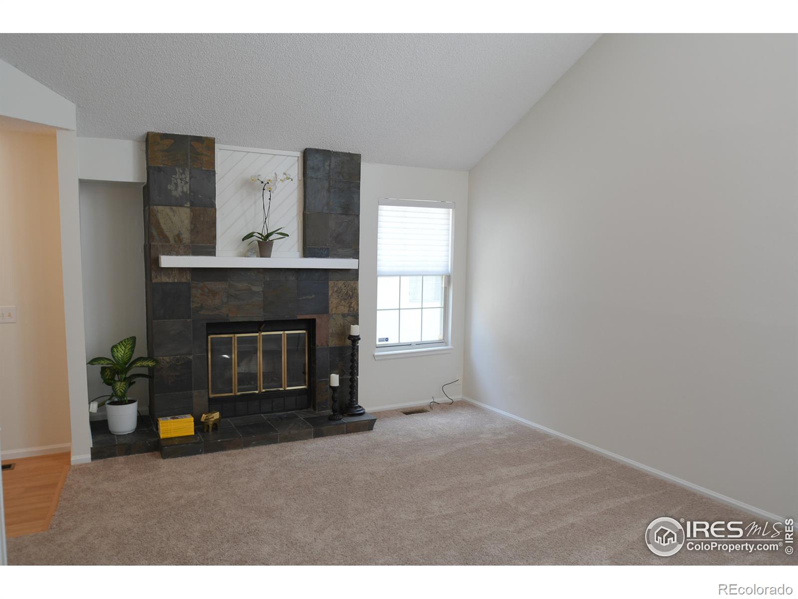 MLS Image #3 for 8326 w 87th drive,arvada, Colorado