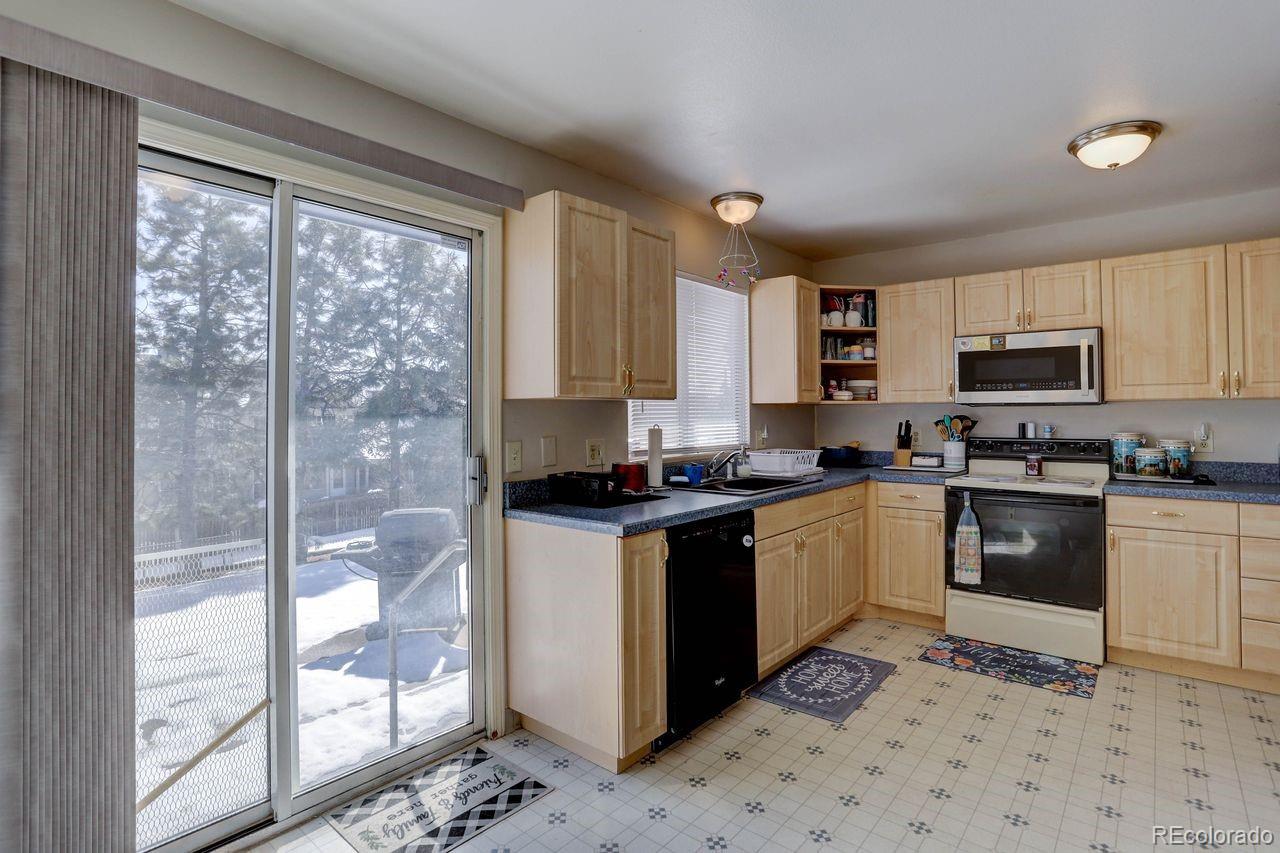 MLS Image #19 for 11016  brownstone drive,parker, Colorado