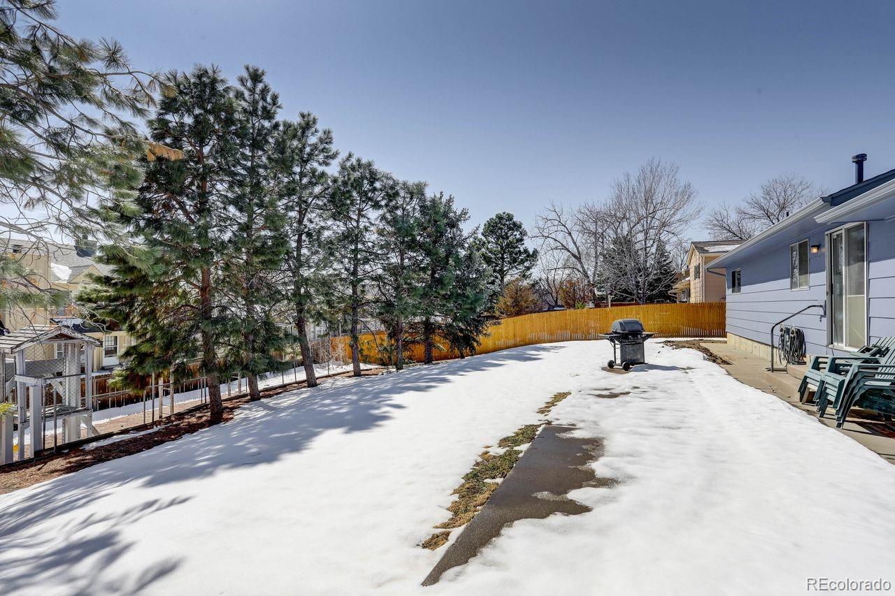 MLS Image #4 for 11016  brownstone drive,parker, Colorado