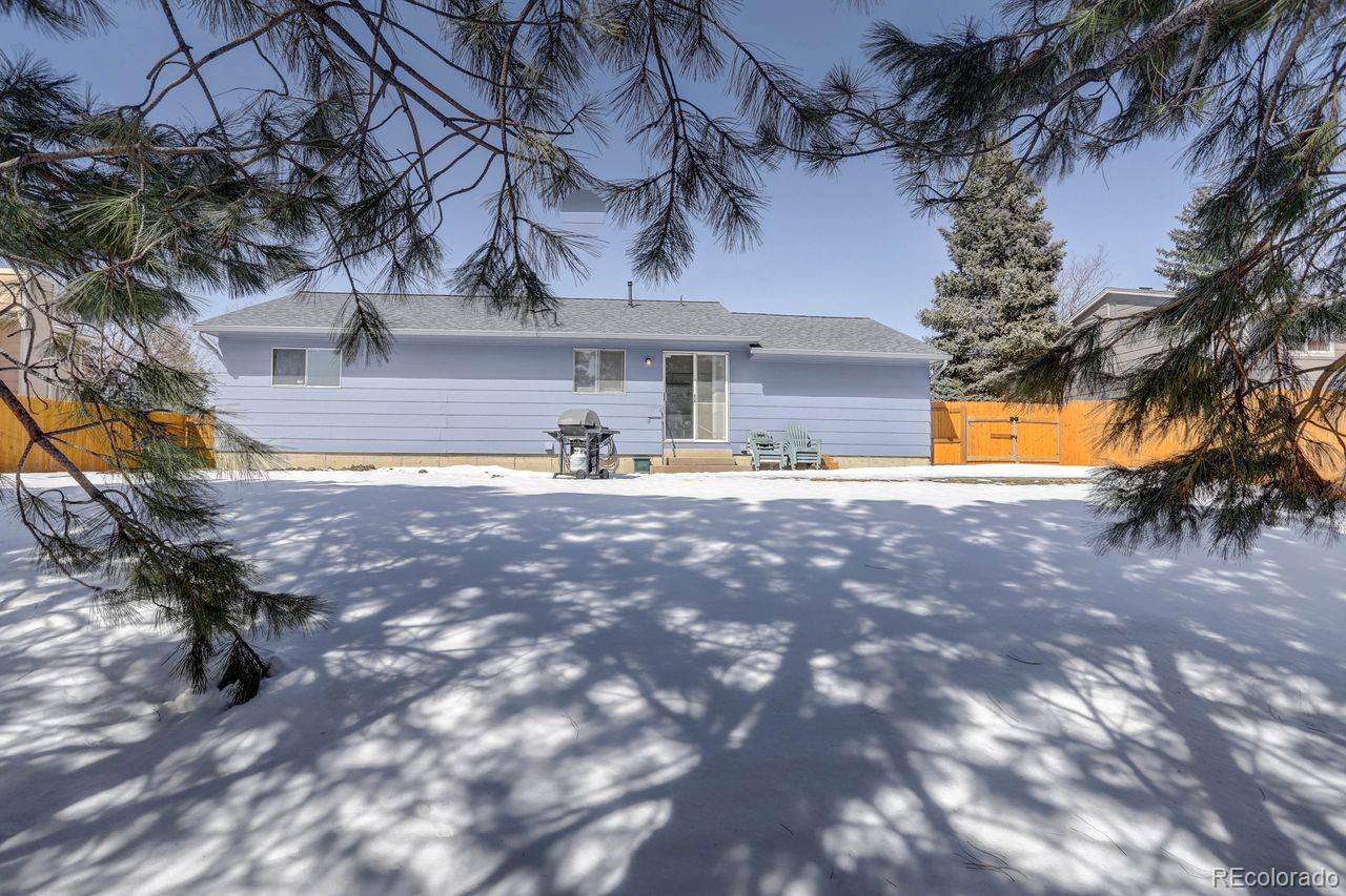 MLS Image #6 for 11016  brownstone drive,parker, Colorado