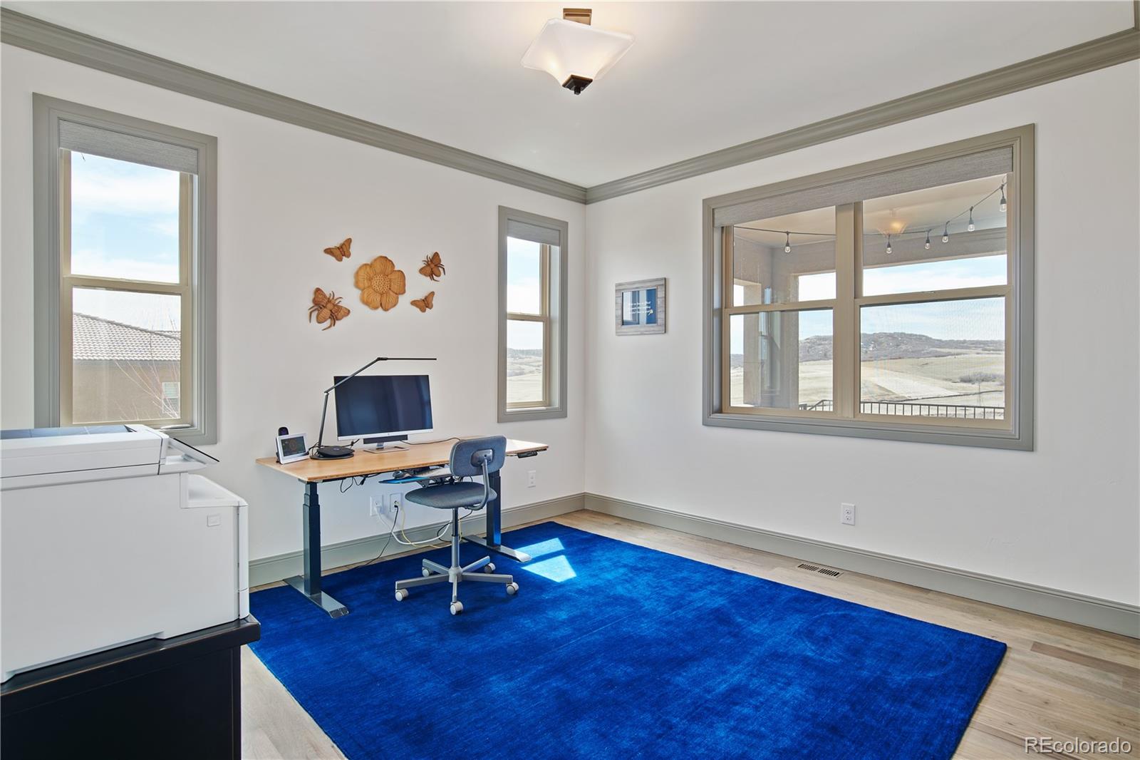 MLS Image #13 for 5623  raintree drive,parker, Colorado