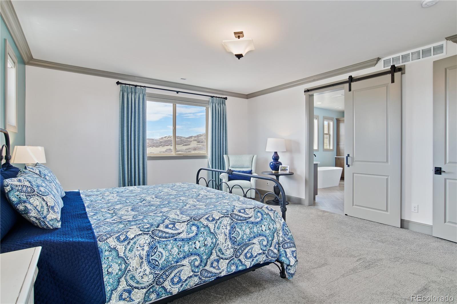 MLS Image #19 for 5623  raintree drive,parker, Colorado