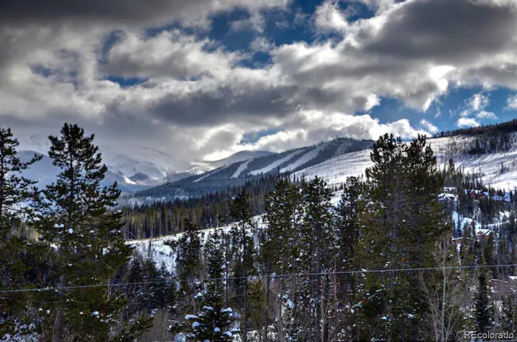 MLS Image #8 for 267  forest trail,winter park, Colorado