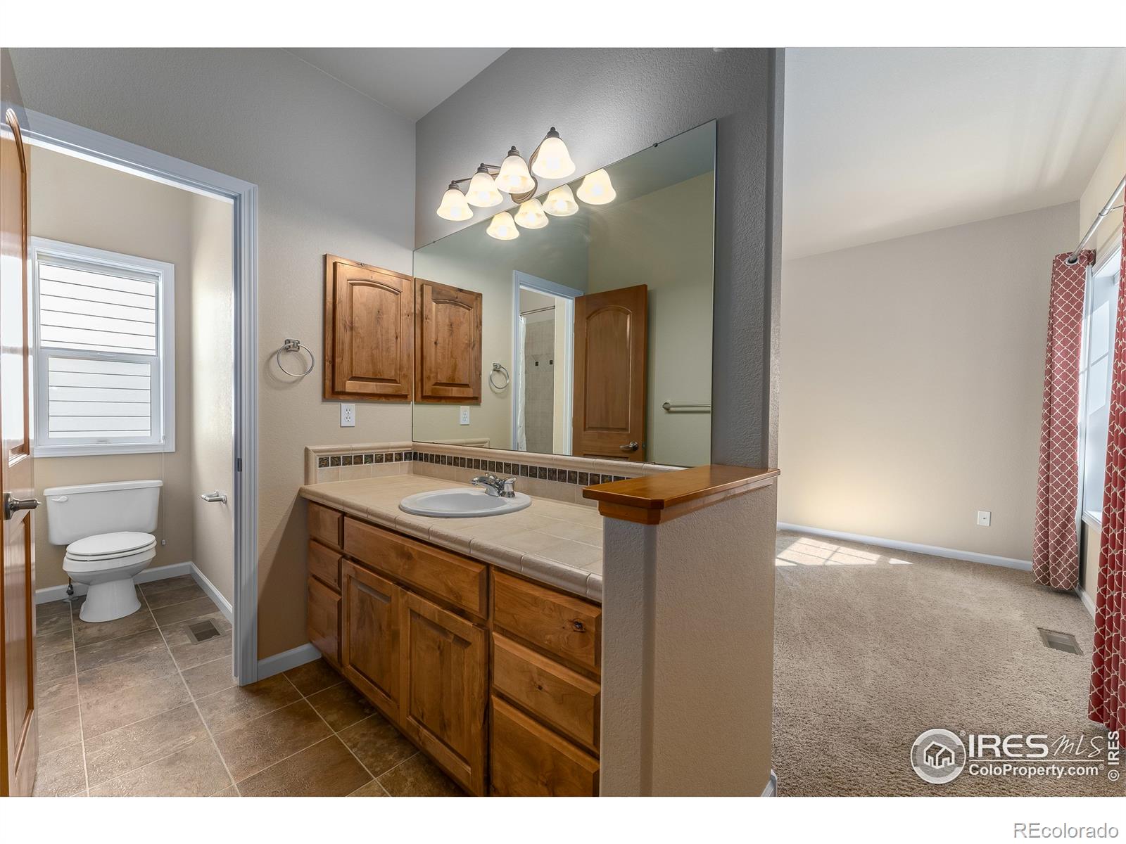 MLS Image #16 for 7305  caledonian court,windsor, Colorado