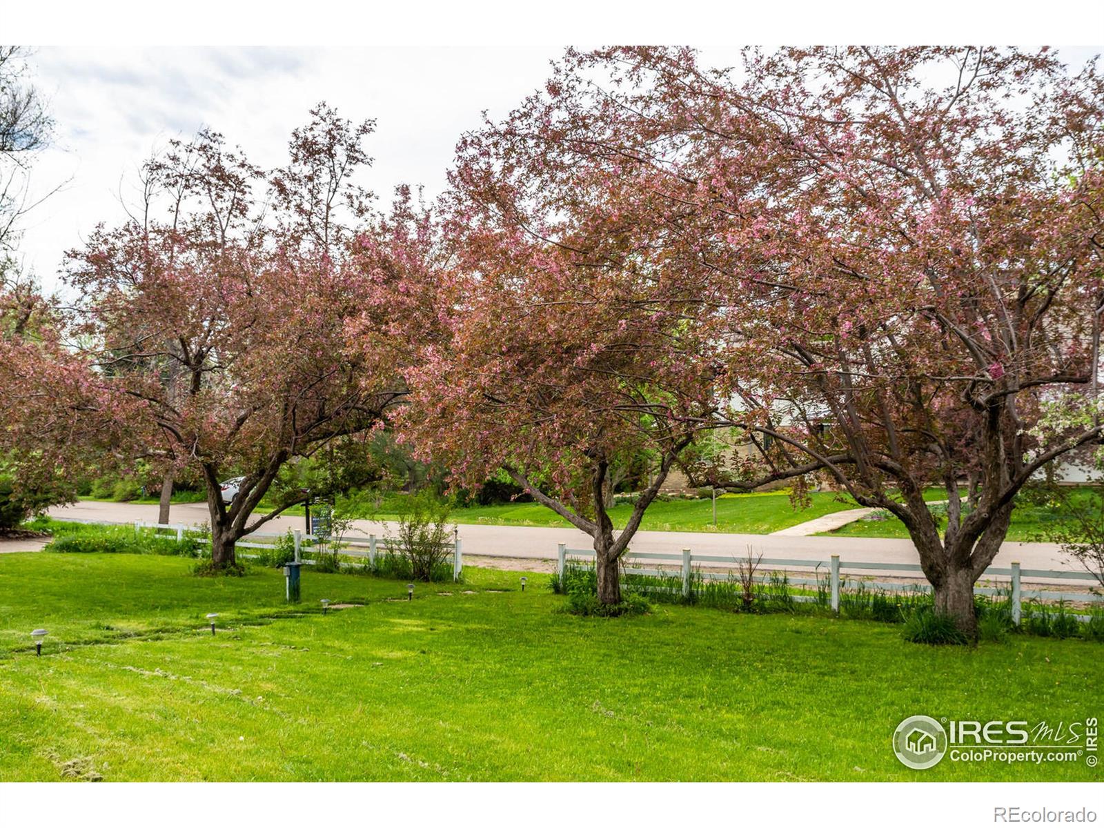 MLS Image #2 for 2205  emerald road,boulder, Colorado