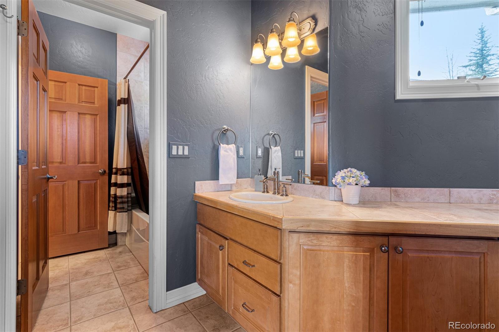 MLS Image #22 for 2904  elk view drive,evergreen, Colorado