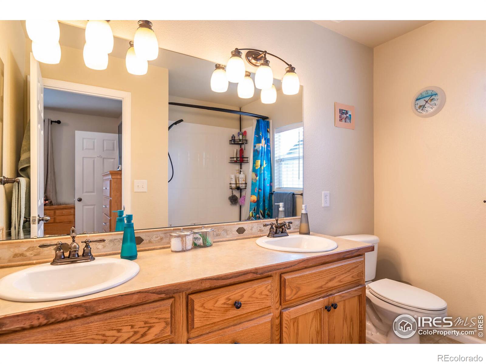 MLS Image #13 for 320  ramsay place,loveland, Colorado