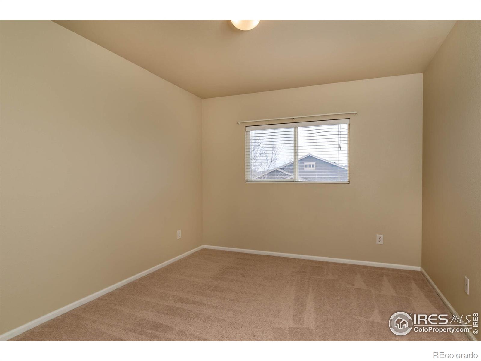MLS Image #14 for 320  ramsay place,loveland, Colorado