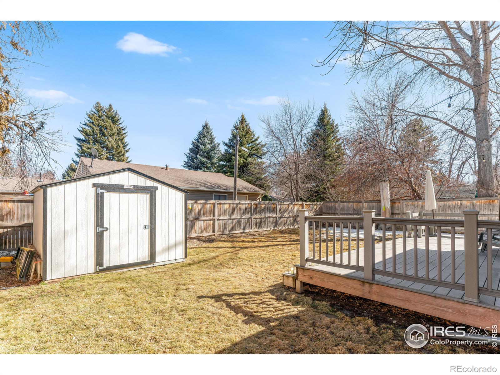 MLS Image #6 for 126 n mack street,fort collins, Colorado