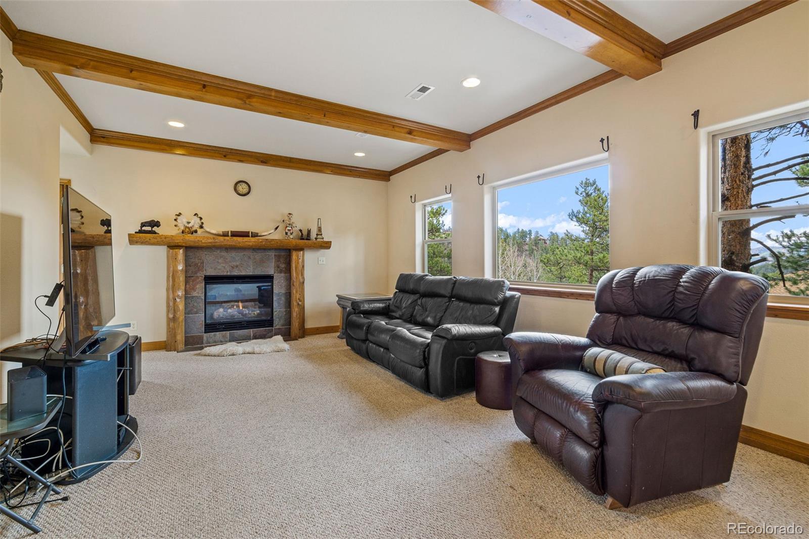 MLS Image #25 for 3133  kitten tails way,evergreen, Colorado