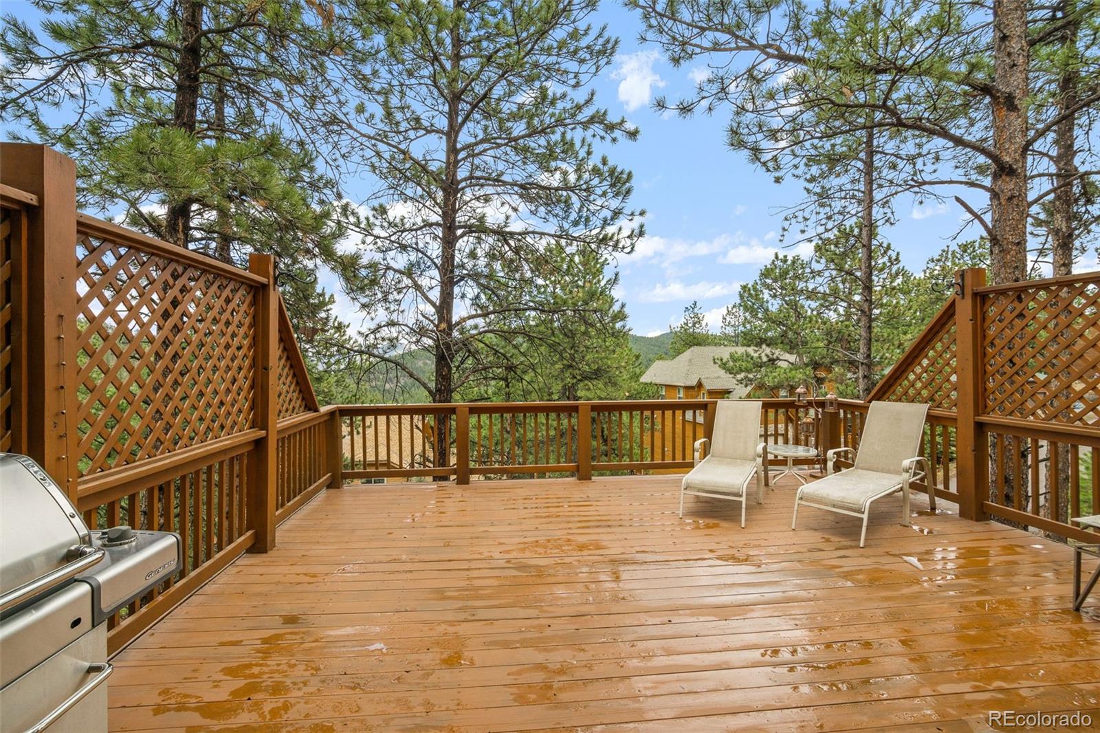 MLS Image #39 for 3133  kitten tails way,evergreen, Colorado
