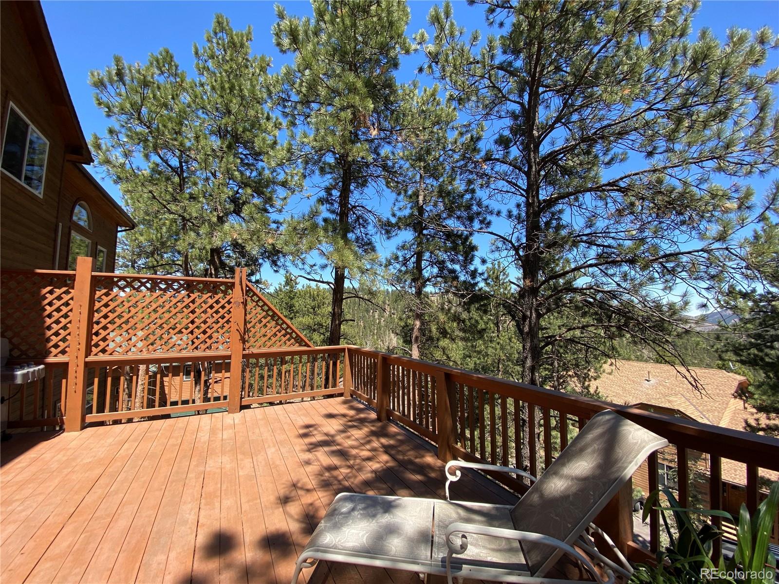 MLS Image #9 for 3133  kitten tails way,evergreen, Colorado
