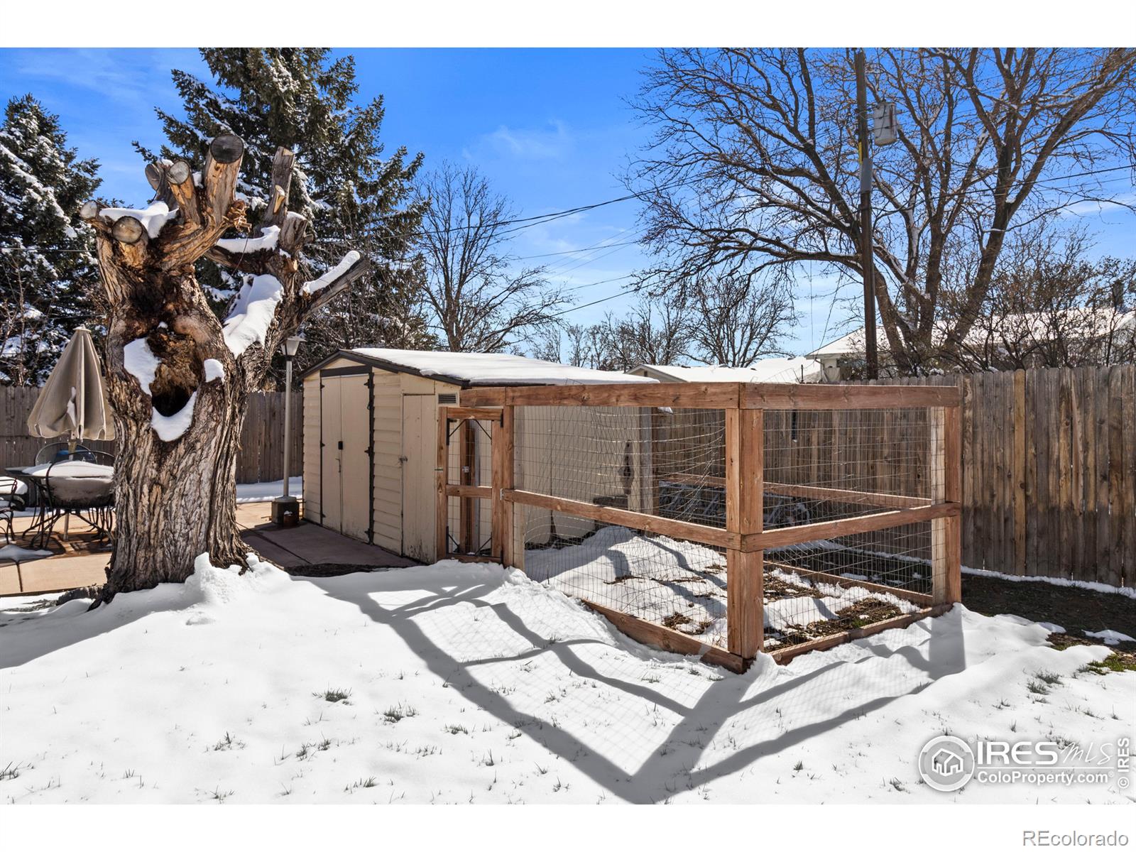 MLS Image #14 for 1925  corey street,longmont, Colorado