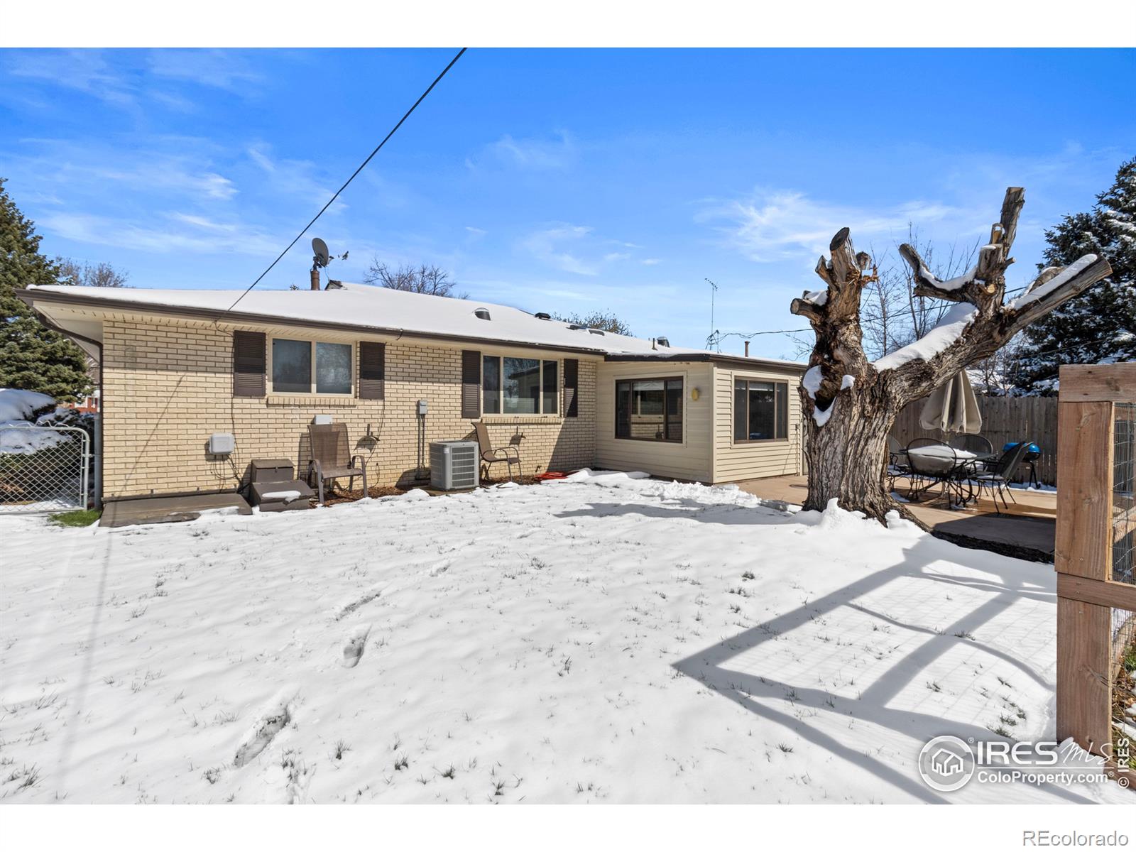 MLS Image #15 for 1925  corey street,longmont, Colorado