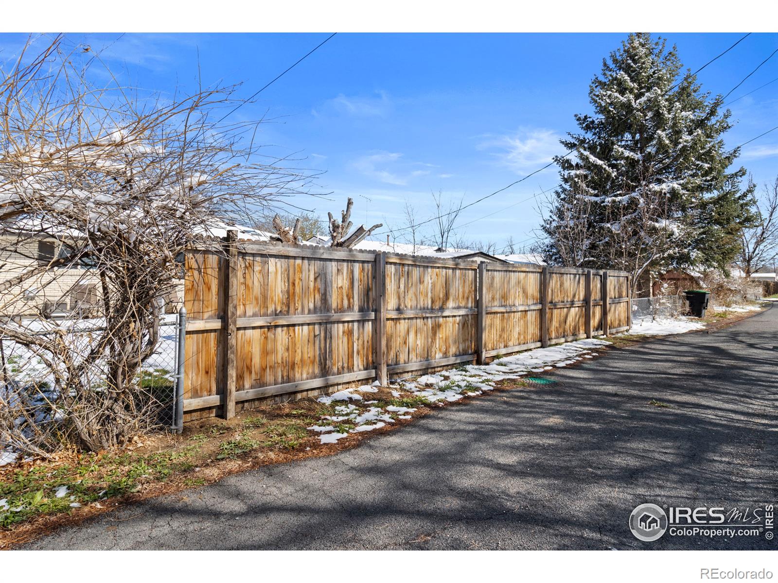 MLS Image #18 for 1925  corey street,longmont, Colorado