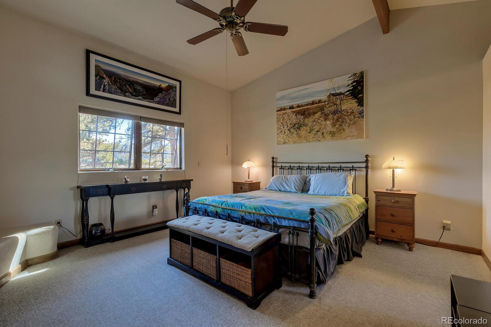 MLS Image #21 for 220  sun ridge court,woodland park, Colorado