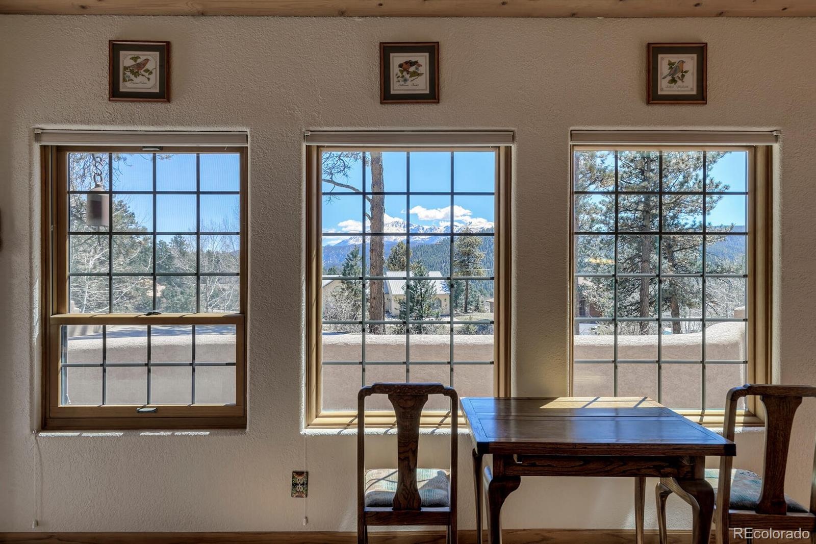 MLS Image #7 for 220  sun ridge court,woodland park, Colorado