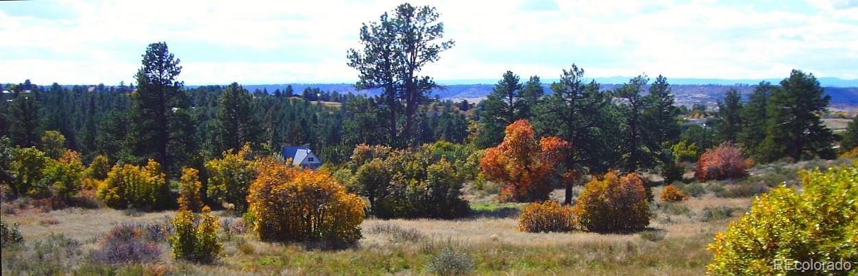 MLS Image #34 for 7804  lost lake drive,franktown, Colorado