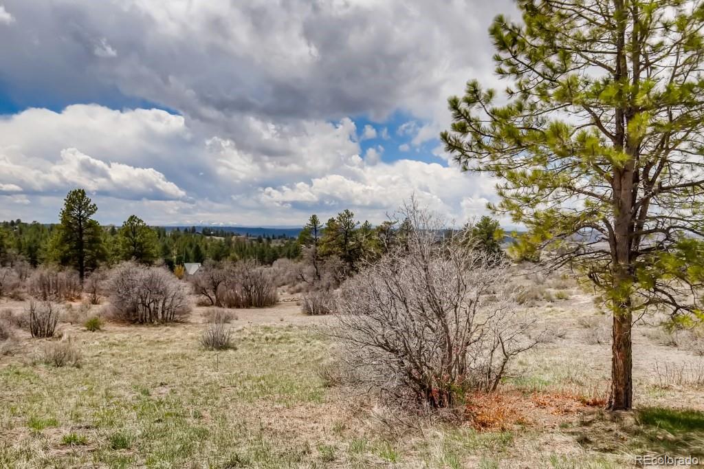 MLS Image #36 for 7804  lost lake drive,franktown, Colorado