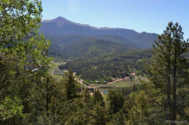 MLS Image #24 for 199  running elk point,divide, Colorado