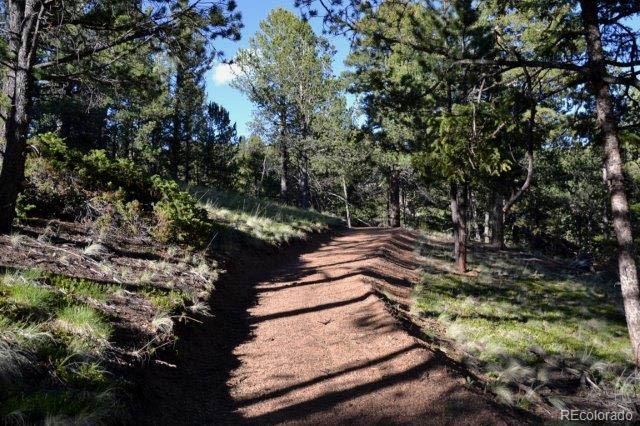 MLS Image #25 for 199  running elk point,divide, Colorado