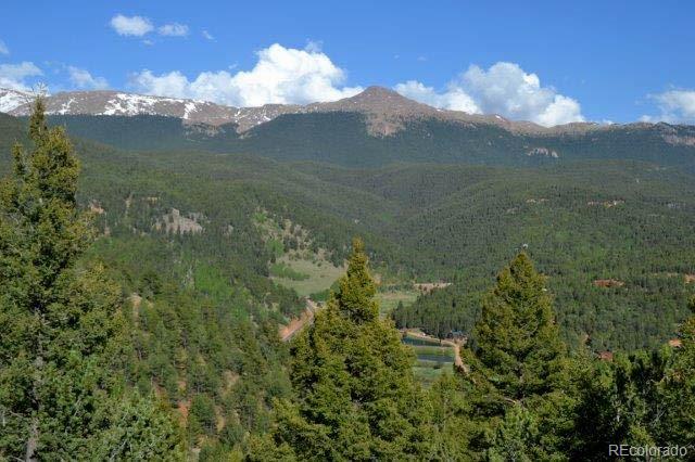 MLS Image #27 for 199  running elk point,divide, Colorado