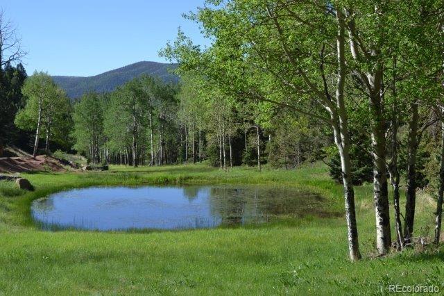 MLS Image #28 for 199  running elk point,divide, Colorado