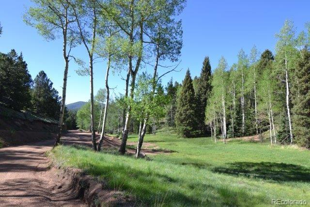 MLS Image #29 for 199  running elk point,divide, Colorado