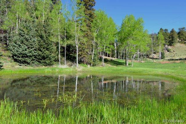 MLS Image #30 for 199  running elk point,divide, Colorado