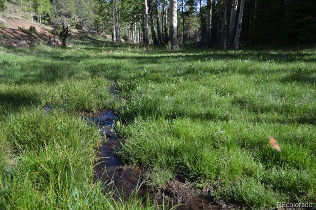 MLS Image #31 for 199  running elk point,divide, Colorado