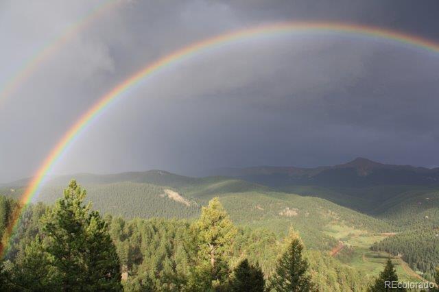 MLS Image #33 for 199  running elk point,divide, Colorado