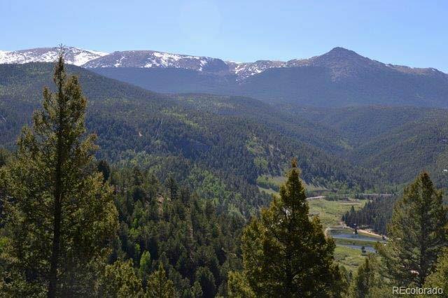 MLS Image #4 for 199  running elk point,divide, Colorado