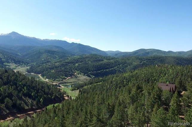 MLS Image #5 for 199  running elk point,divide, Colorado