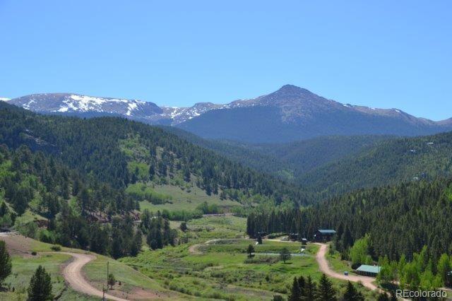 MLS Image #6 for 199  running elk point,divide, Colorado