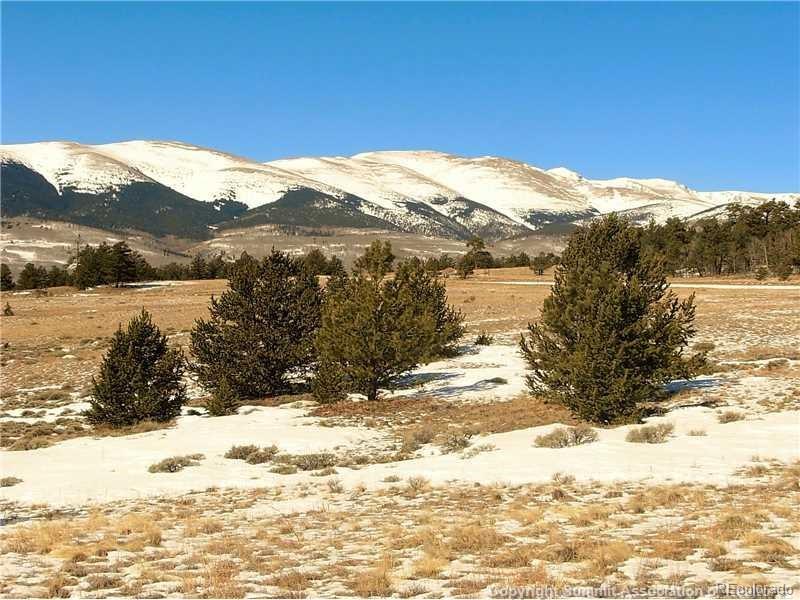 MLS Image #30 for 4888  county road 5 ,fairplay, Colorado