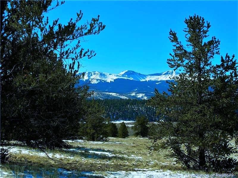 MLS Image #31 for 4888  county road 5 ,fairplay, Colorado