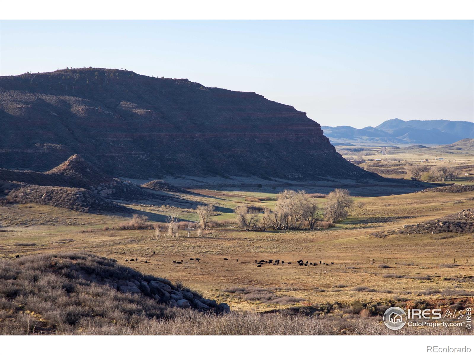 MLS Image #39 for 199  joy road,livermore, Colorado