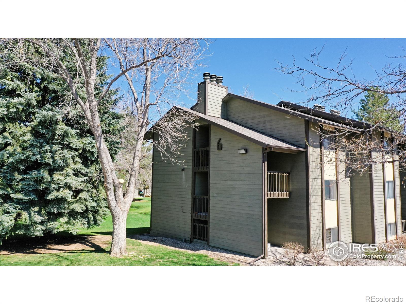 MLS Image #21 for 925  columbia road,fort collins, Colorado
