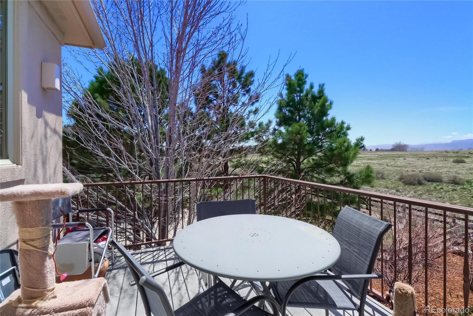 MLS Image #38 for 1874  ridgecrest way,highlands ranch, Colorado