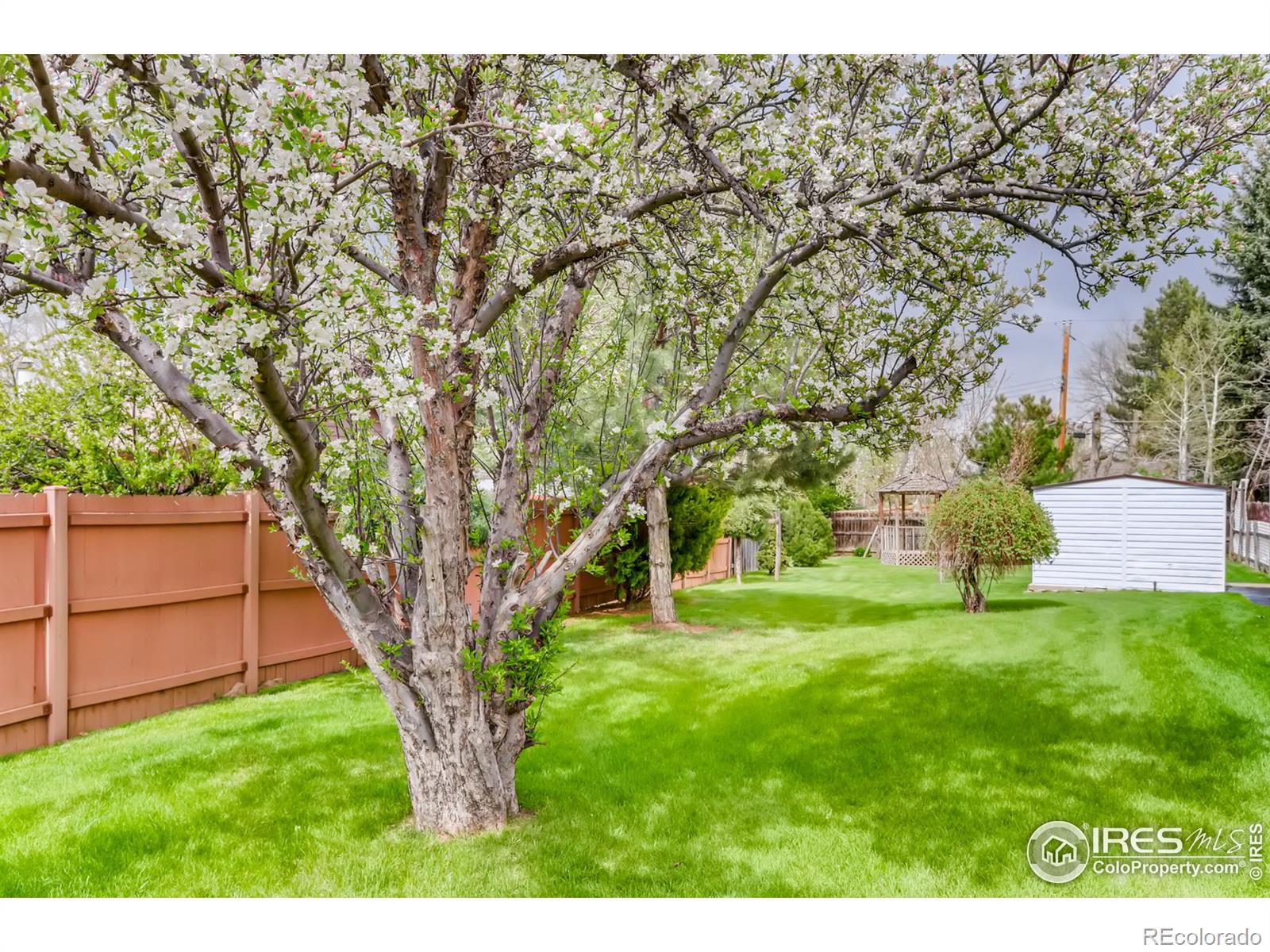 MLS Image #25 for 716  maple drive,loveland, Colorado